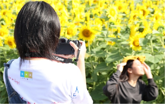 自治体・団体の事例